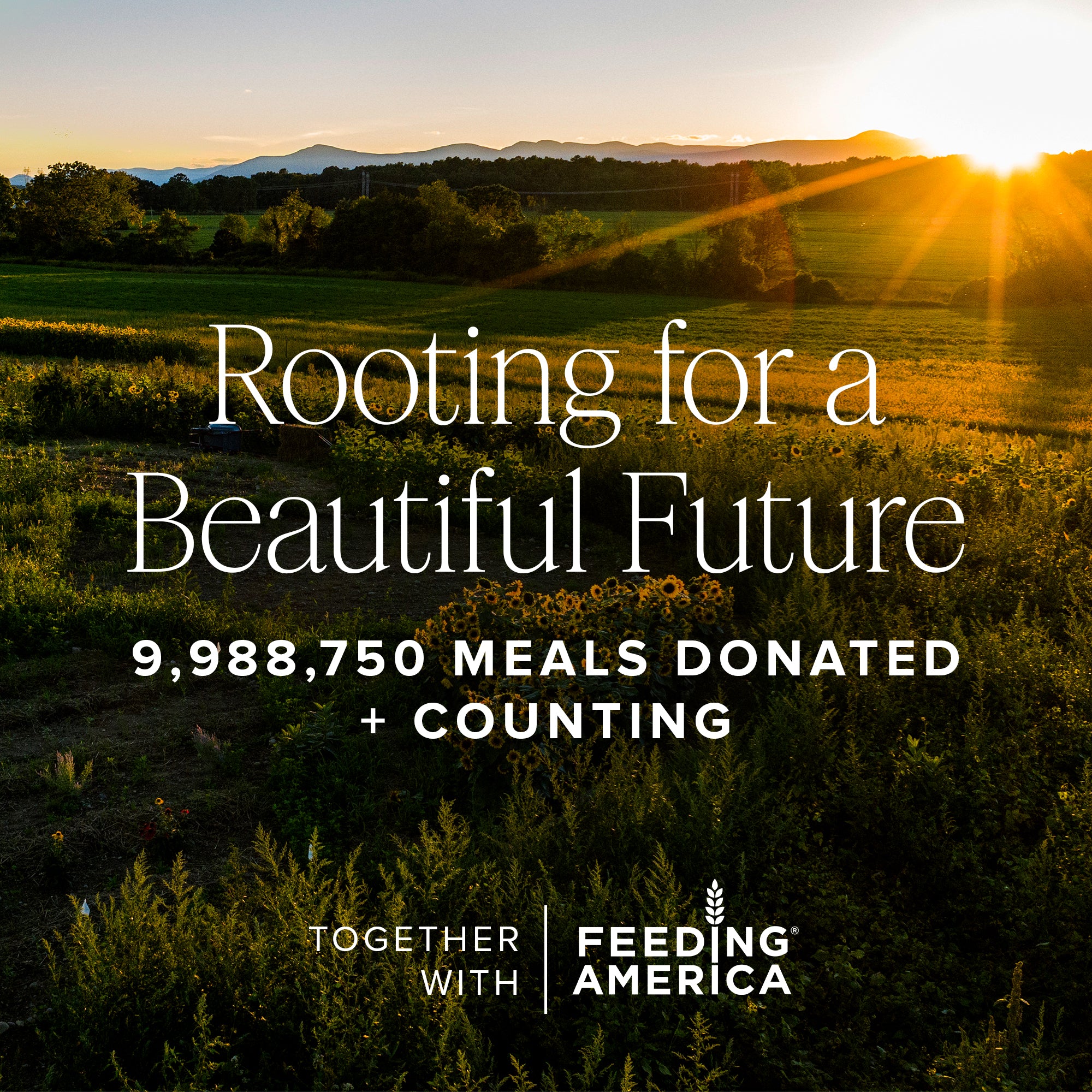 Filling Good - Image 9