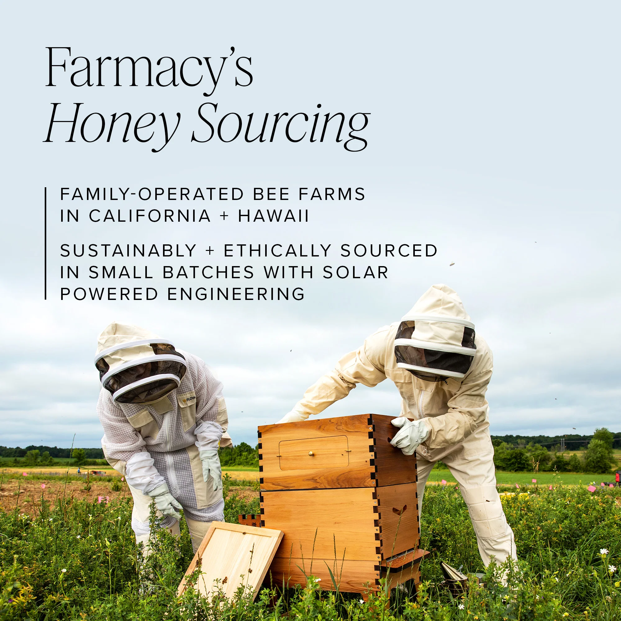 Honey Grail - Image 7