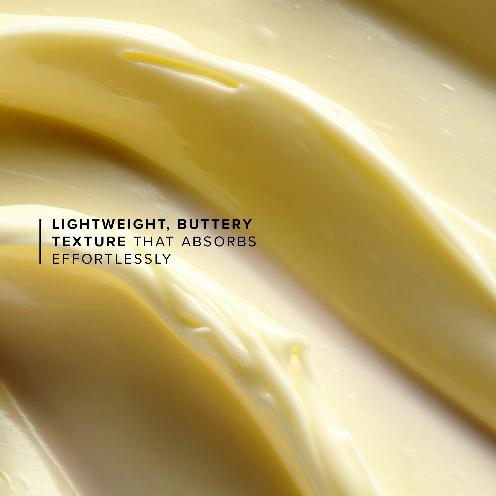 Honey Halo Mini - Image 7